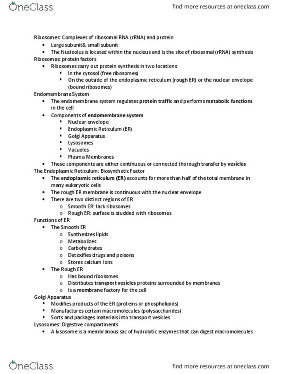 LIFE 120 Lecture Notes - Lecture 3: Endoplasmic Reticulum, Nuclear Membrane, Endomembrane System thumbnail