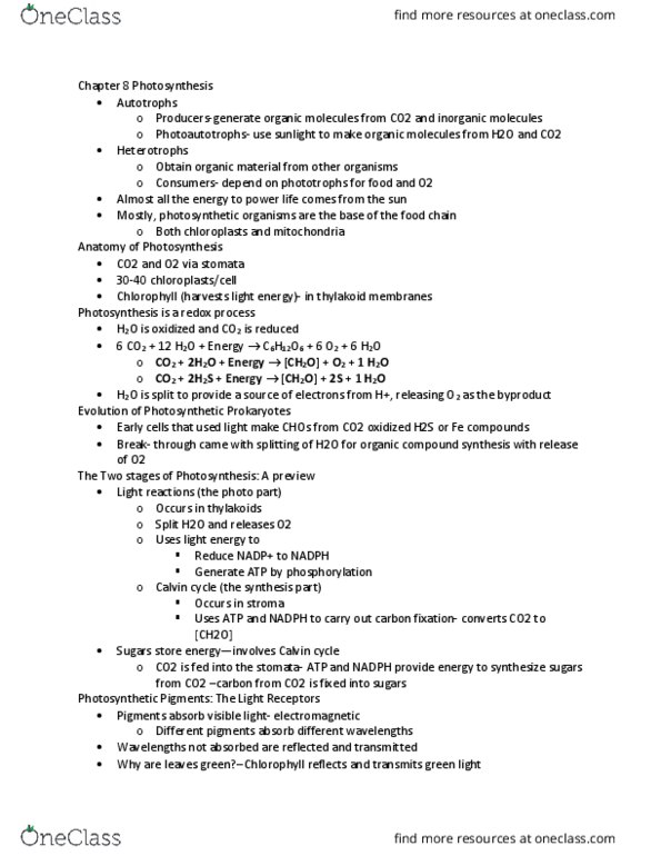 LIFE 120 Lecture Notes - Lecture 8: Photosynthetic Pigment, Thylakoid, Photosystem Ii thumbnail