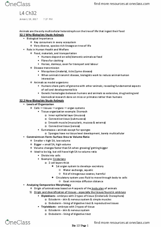 BIOL 125 Lecture Notes - Lecture 4: Ventral Nerve Cord, Symmetry In Biology, Germ Layer thumbnail