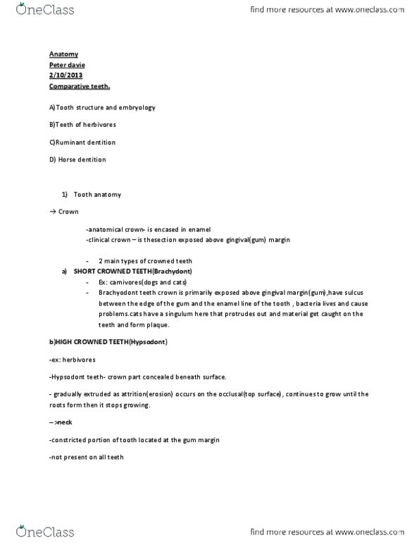 227 .205 Lecture Notes - Lecture 1: Canine Tooth, Hypsodont, Gingival Margin thumbnail