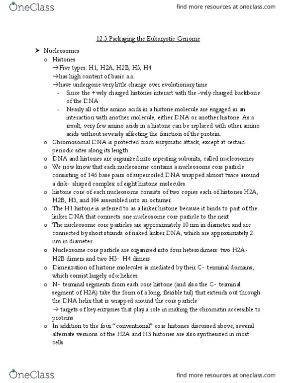 BIO130H1 Chapter Notes - Chapter 12.3: Histone H2A, Mitosis, H2Afx thumbnail