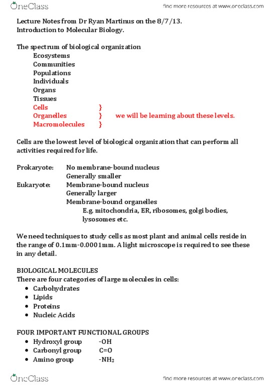 BIOL101 Lecture Notes - Covalent Bond, Deoxyribose, Hydroxy Group thumbnail