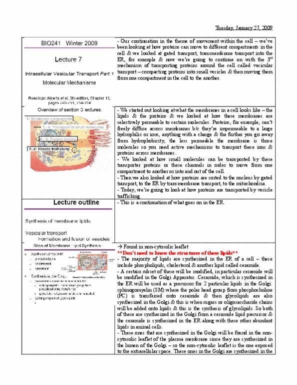 BIO120H1 Lecture Notes - Lecture 7: Immunoglobulin Light Chain, Copii, Glycolipid thumbnail
