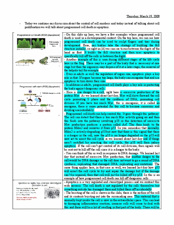 BIO120H1 Lecture Notes - Lecture 20: Card Domain, Transferase, Cell Adhesion thumbnail