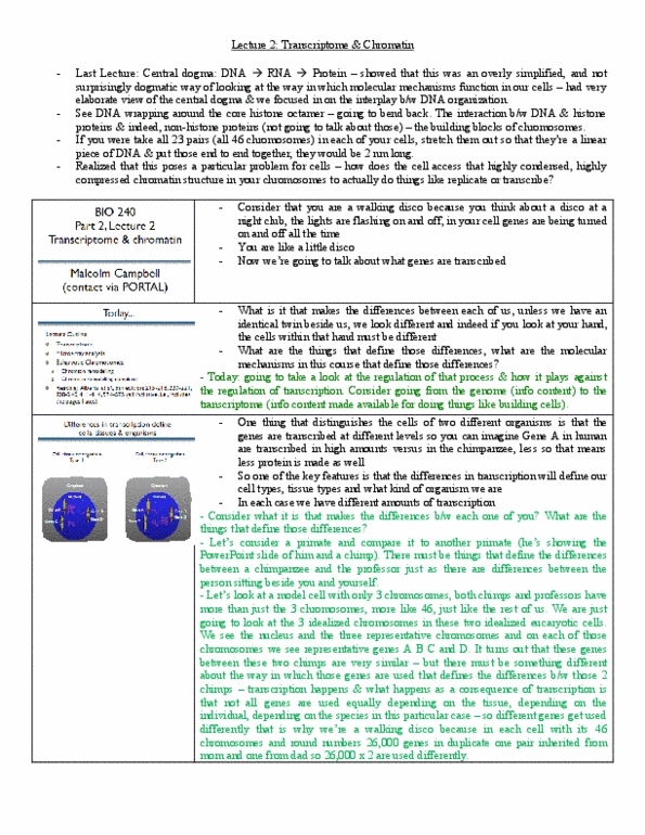 BIO120H1 Lecture Notes - Messenger Rna, Northern Blot, Wild Type thumbnail