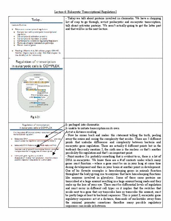 BIO120H1 Lecture Notes - Lecture 6: Transcriptome, Repressor, Tata Box thumbnail