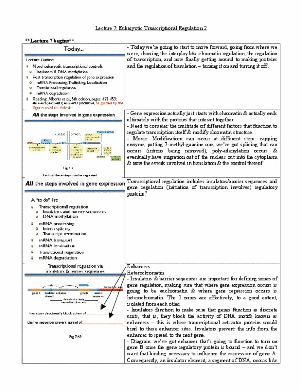 BIO120H1 Lecture Notes - Lecture 7: Euchromatin, Gene Expression, Chromatin thumbnail