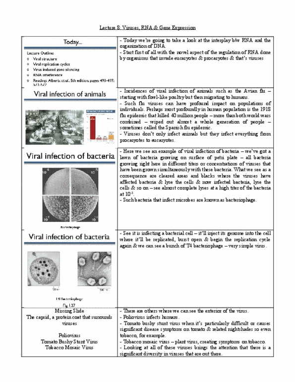 BIO120H1 Lecture Notes - Lecture 8: Plasmodesma, Polyadenylation, Rna Virus thumbnail
