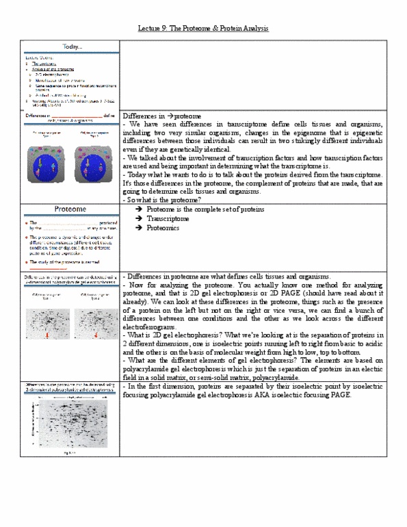 BIO120H1 Lecture Notes - Lecture 9: Nuclear Membrane, Microsoft Word, Arginine thumbnail