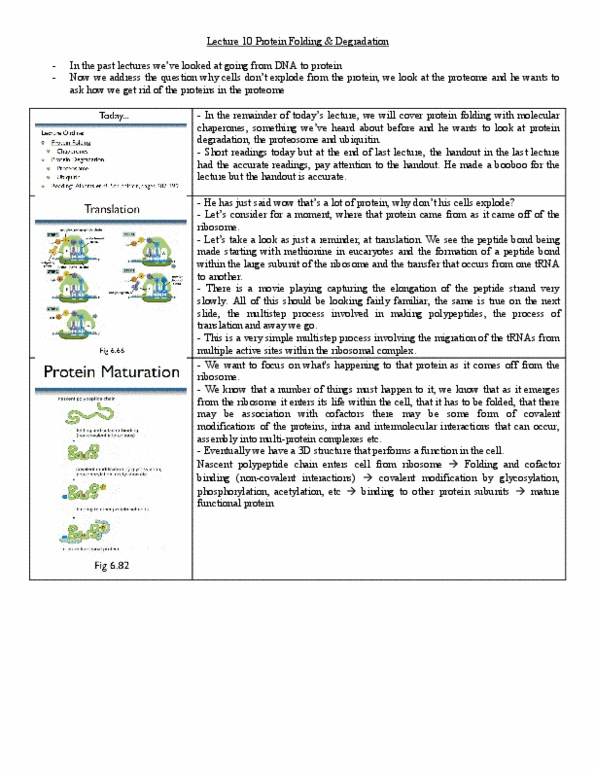 BIO120H1 Lecture Notes - Lecture 10: Hsp70, Lysine, Glycosylation thumbnail