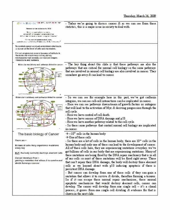 BIO120H1 Lecture Notes - Aflatoxin, Imatinib, Ames Test thumbnail