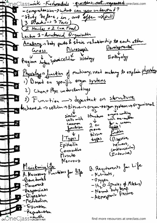 01:146:245 Lecture 1: Fundamentals of Neurobiology Lecture 1 Uzwiak thumbnail