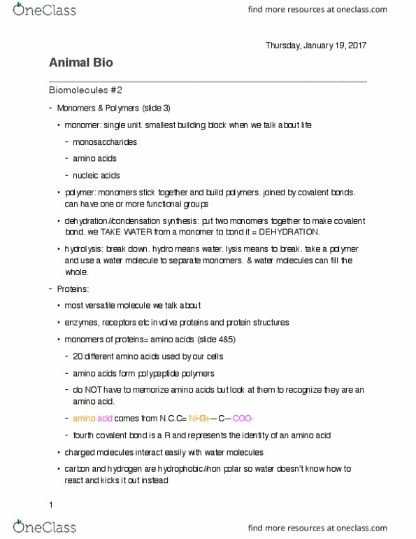 BIOL 1141 Lecture Notes - Lecture 2: Covalent Bond, Hydrolysis, Peptide thumbnail