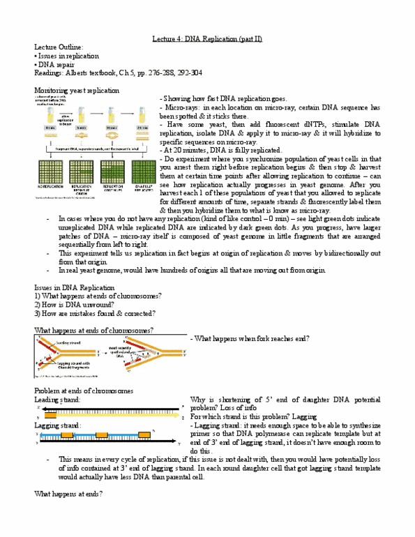 BIO120H1 Lecture Notes - Lecture 16: Chromosome, Guanine, Cytosine thumbnail