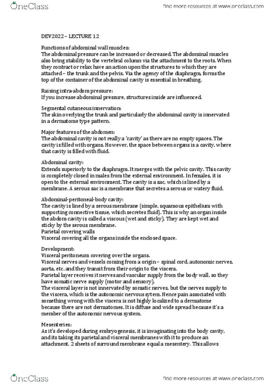 DEV2022 Lecture Notes - Lecture 12: Peritoneal Cavity, Abdominal Cavity, Abdominal Wall thumbnail