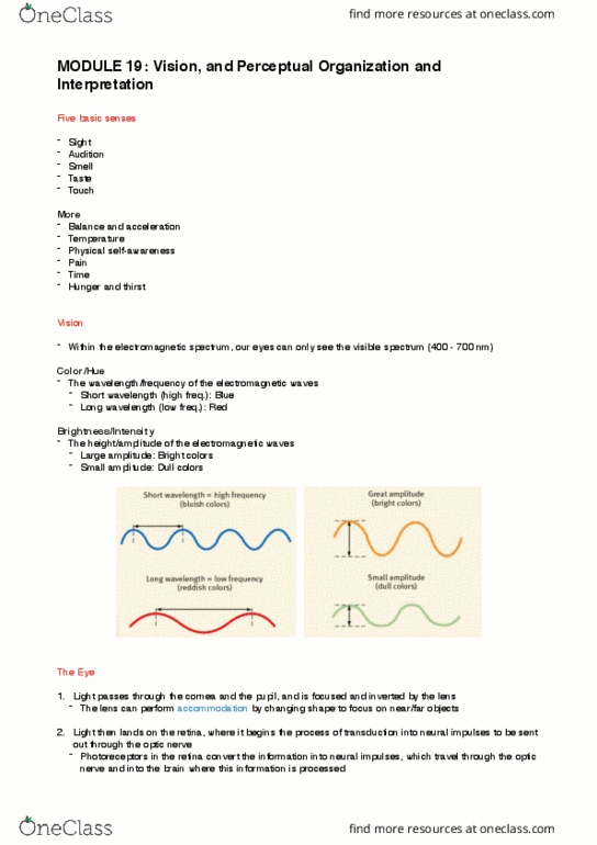 PSYCH 10 Lecture Notes - Lecture 6: Color Constancy, Subjective Constancy, Sensorineural Hearing Loss thumbnail