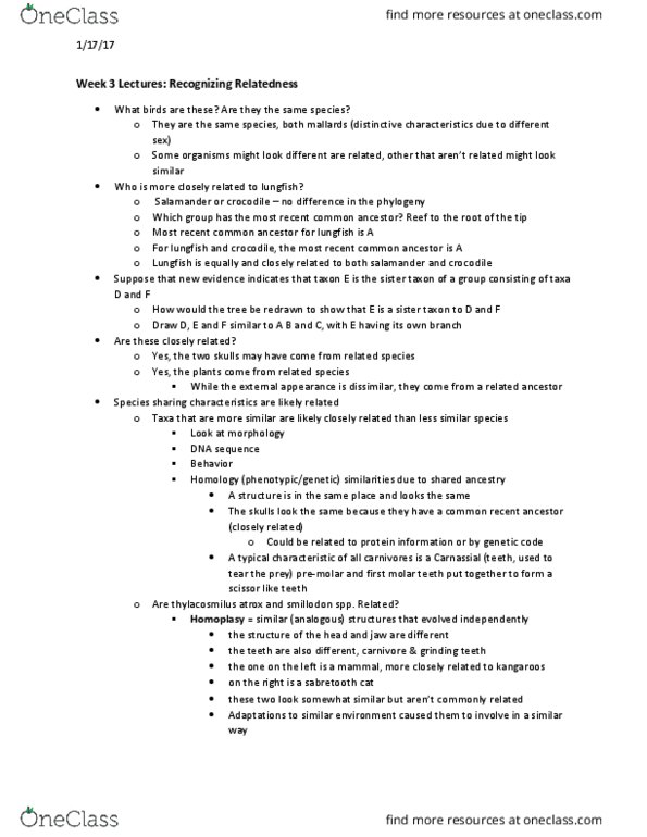 BIO153H5 Lecture Notes - Lecture 3: Thylacosmilus, Premolar, Different Class thumbnail