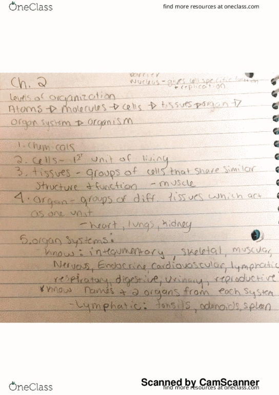 BMS 208 Lecture 4: connective tissue thumbnail