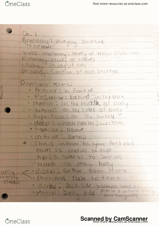 BMS 208 Lecture 3: epithelial tissue thumbnail