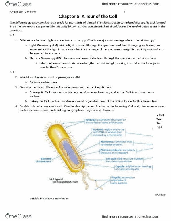 BIO 101 Chapter 3: Unit 3 thumbnail