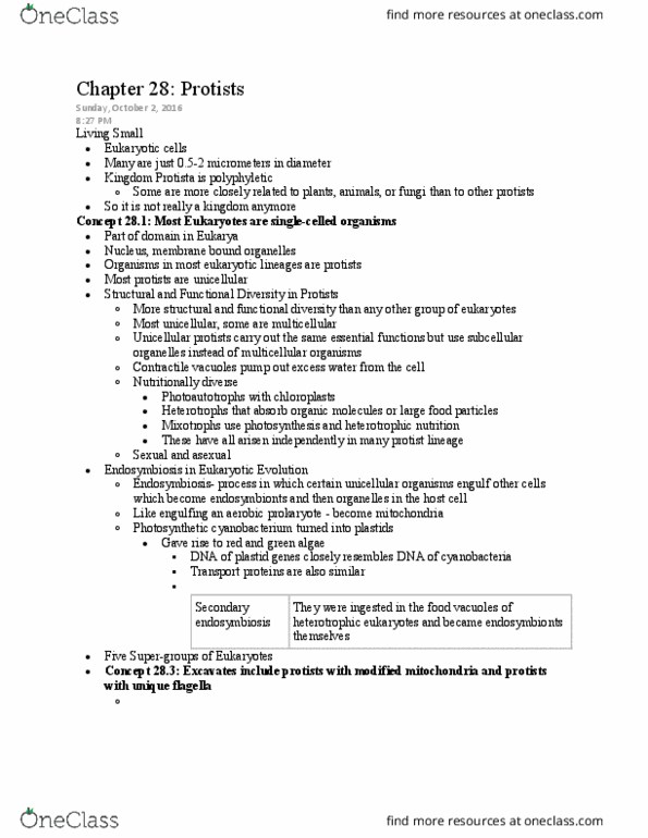 BIOL 110 Chapter Notes - Chapter 28: Excavata, Red Tide, Oomycete thumbnail