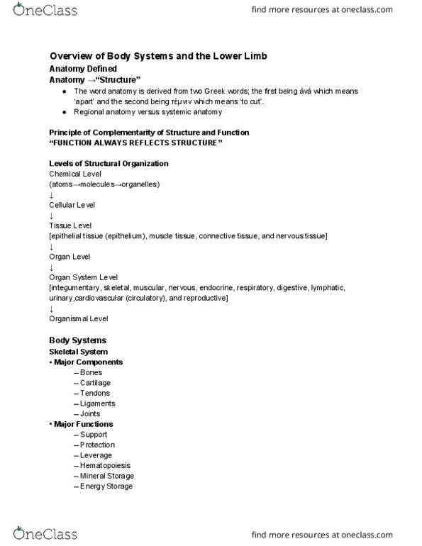 ANATOMY 2300.03 Lecture Notes - Lecture 1: Spinal Cord, Integumentary System, Ureter thumbnail