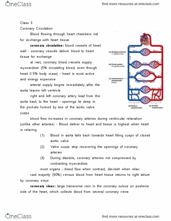 BIOL 1119 Lecture Notes - Lecture 3: Net Force, Oncotic Pressure, Extracellular Fluid thumbnail