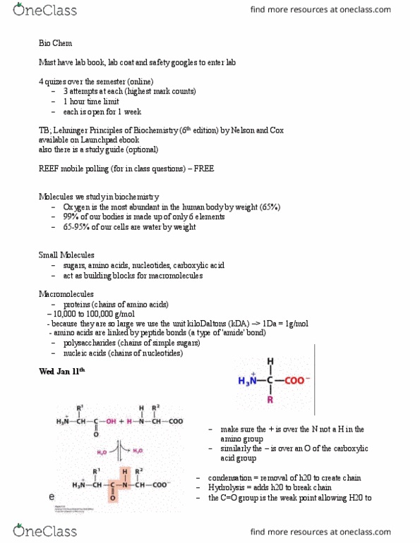 BIOC 2580 Lecture Notes - Lecture 1: Hydrolysis, Amine, E-Book thumbnail
