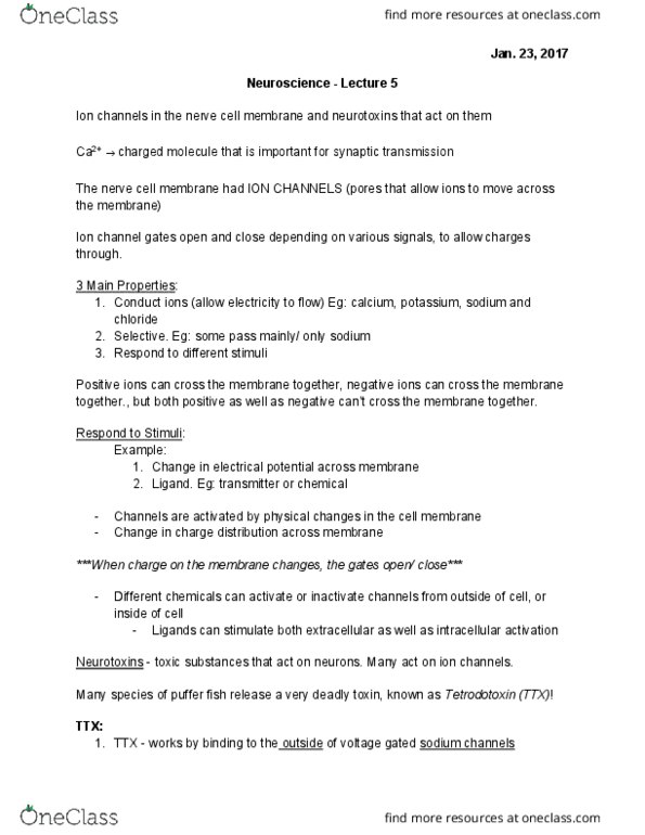 BIOL 1F25 Lecture Notes - Lecture 25: Tetraodontidae, Ion Channel, Tetrodotoxin thumbnail