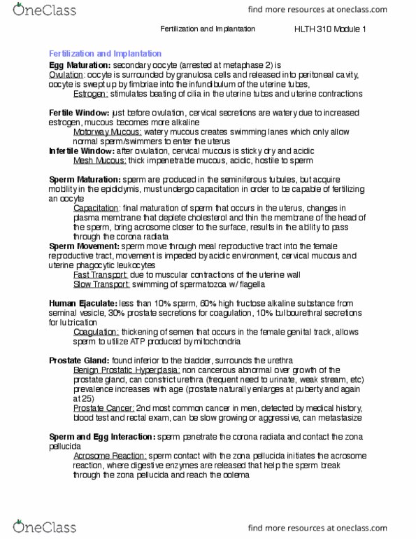 HLTH 210 Lecture Notes - Lecture 3: Zona Pellucida, Acrosome Reaction, Seminiferous Tubule thumbnail