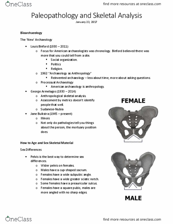 ANT 372 Lecture Notes - Lecture 1: Calcification, Ancient Dna, Pubic Tubercle thumbnail