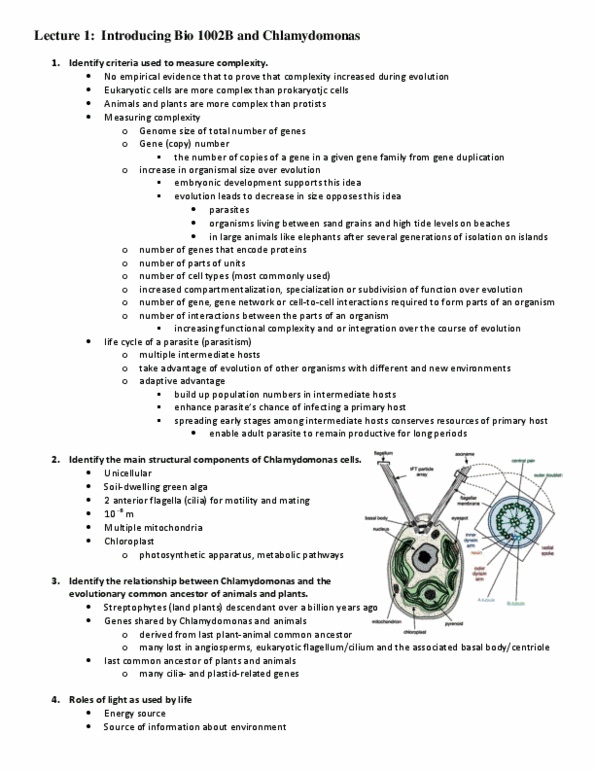 Biology 1002B Lecture Notes - Chloroplast, Phosphodiesterase, Sodium Channel thumbnail