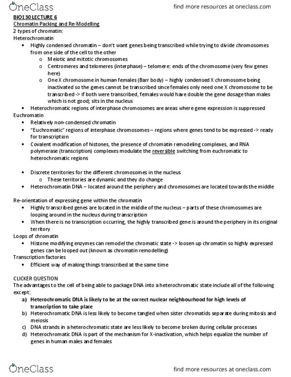 BIO130H1 Lecture Notes - Lecture 6: Okazaki Fragments, Sister Chromatids, Chromatin thumbnail