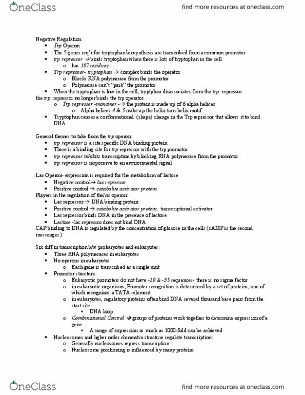 Biochemistry 2288A Lecture Notes - Lecture 15: Adenine, Spliceosome, Polyadenylation thumbnail