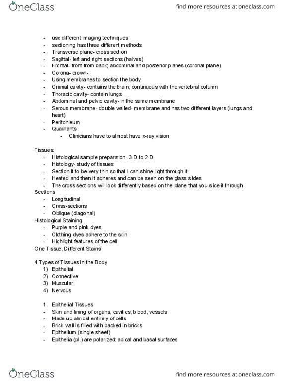 CAS BI 106 Lecture Notes - Lecture 2: Keratin, Holocrine, Goblet Cell thumbnail