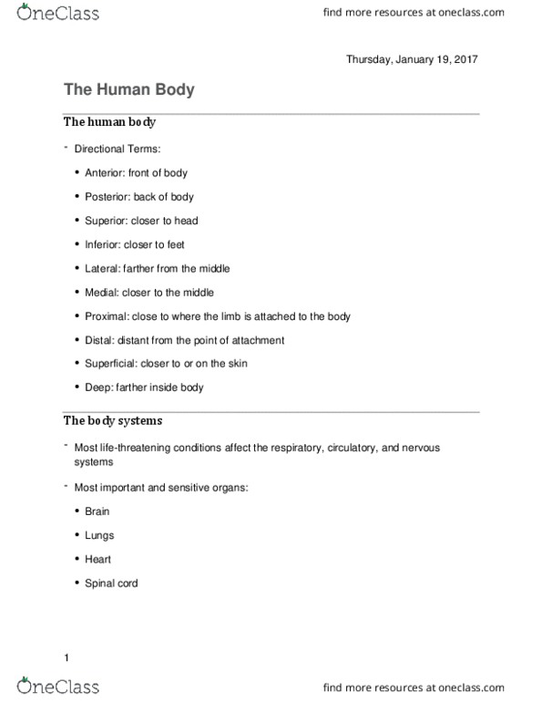KNR 180 Lecture Notes - Lecture 3: Humerus, Central Nervous System, Autonomic Nervous System thumbnail