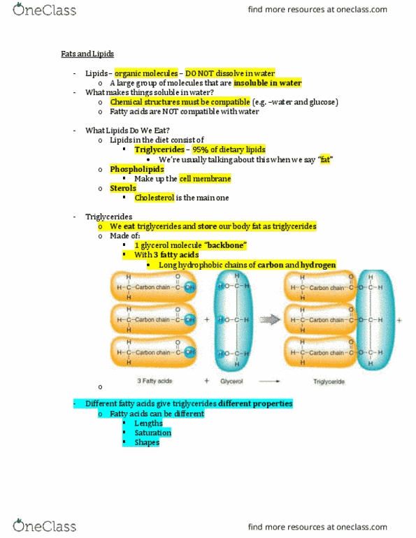 NUTR 1010 Lecture Notes - Lecture 9: Corn Oil, Margarine, Trans Fat thumbnail