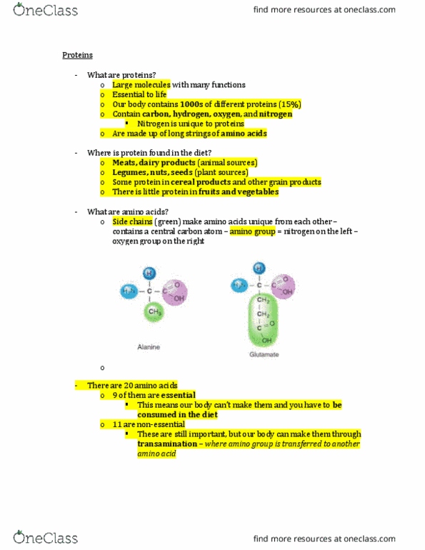 NUTR 1010 Lecture Notes - Lecture 14: Fluid Balance, Myosin, Homeostasis thumbnail