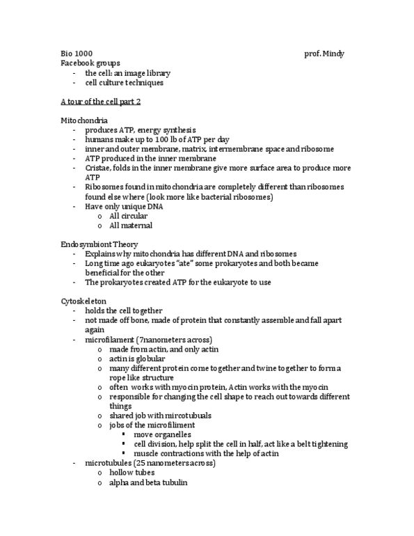 BIOL 1010 Lecture Notes - Pyruvate Dehydrogenase, Maltose, Collagen thumbnail