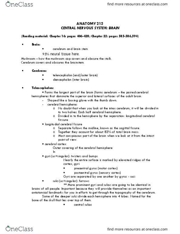 ANAT 215 Lecture Notes - Lecture 5: Dural Venous Sinuses, Internal Carotid Artery, Extracellular Fluid thumbnail