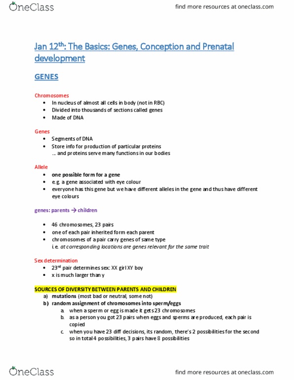 PSYCH211 Lecture Notes - Lecture 3: Brainstem, Synaptic Pruning, Prefrontal Cortex thumbnail