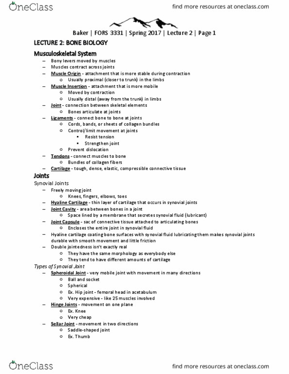 FORS 3331 Lecture Notes - Lecture 2: Osteon, Endosteum, Calcium Phosphate thumbnail