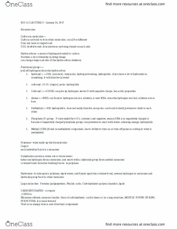 BIO 111 Lecture Notes - Lecture 4: Cell Nucleus, Fructose, Polysaccharide thumbnail