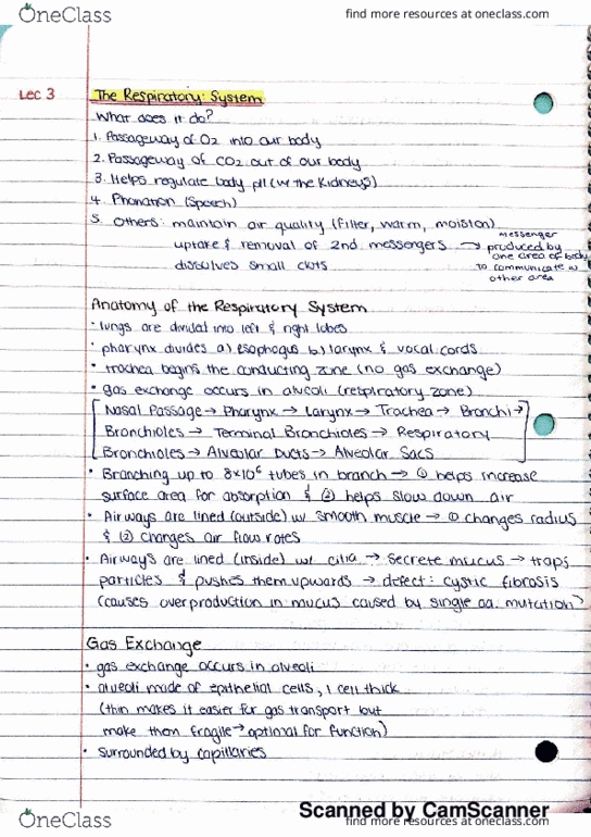 KINE 3012 Lecture 3: k3 respiratory system thumbnail