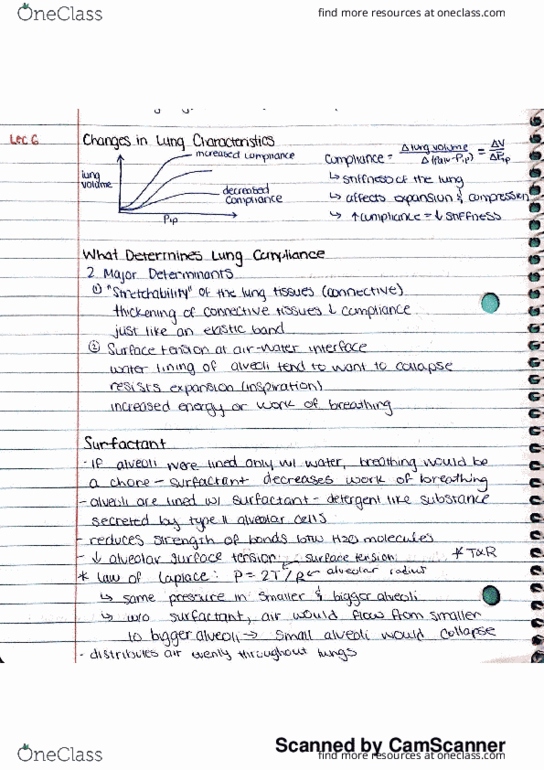 KINE 3012 Lecture 6: k6 lung characteristics thumbnail