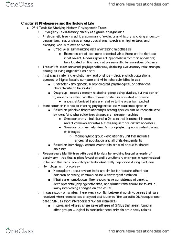 BIO SCI 94 Chapter Notes - Chapter 28: Phanerozoic, Radiometric Dating, Synapomorphy thumbnail