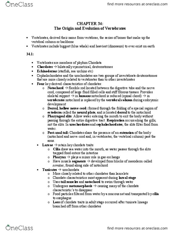 BIO153H5 Chapter Notes - Chapter 30: Gnathostomata, Craniate, Lancelet thumbnail