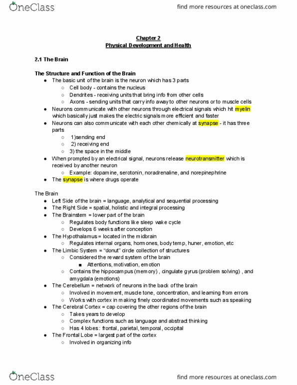 ED PSYCH 331 Chapter Notes - Chapter 2: Prefrontal Cortex, Neural Development, Motor Coordination thumbnail