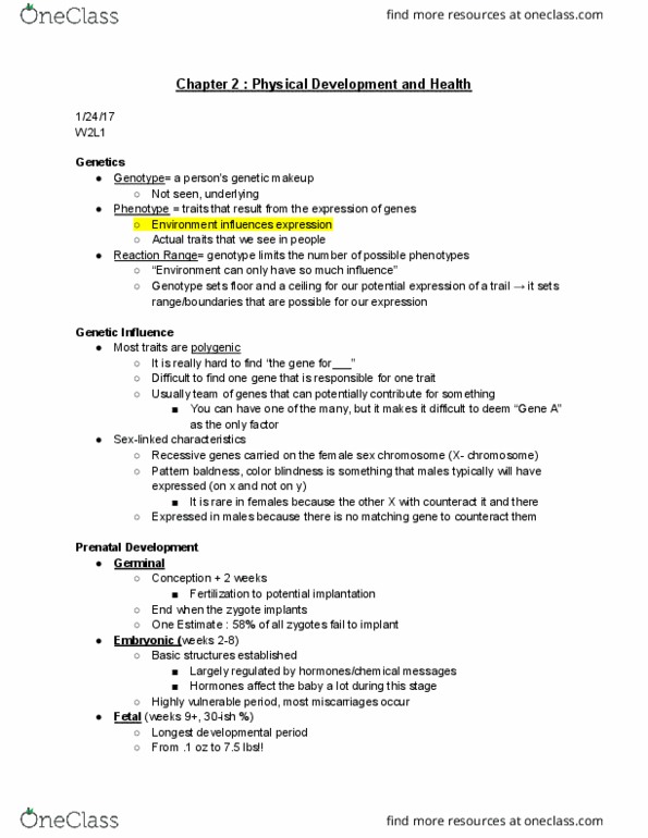 ED PSYCH 331 Lecture Notes - Lecture 3: Myelin, Prenatal Development, Muscle Hypertrophy thumbnail