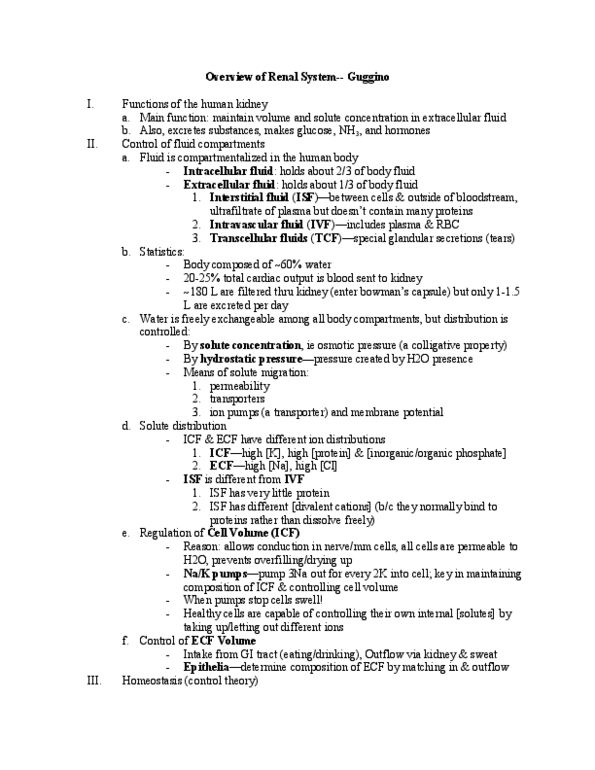 BIOL 2P93 Lecture Notes - Cardiac Output, Ultrafiltration, Renal Medulla thumbnail